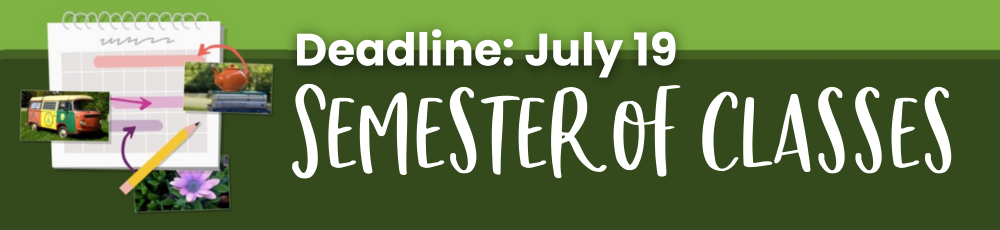 Brave Writer News 2025 July Semester of Classes