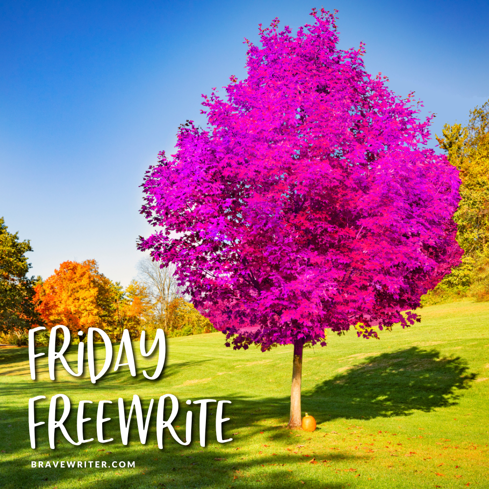 Friday Freewrite